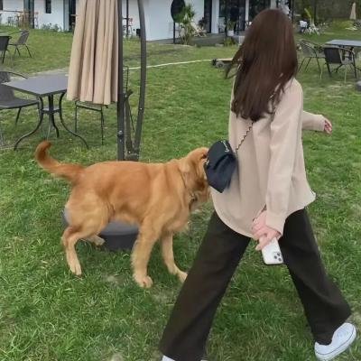 复仇之城 在线观看